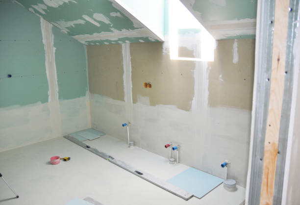 Professional Mold Removal in Waskom, TX