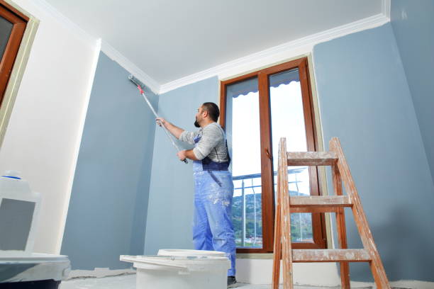 Best Emergency Mold Remediation  in Waskom, TX