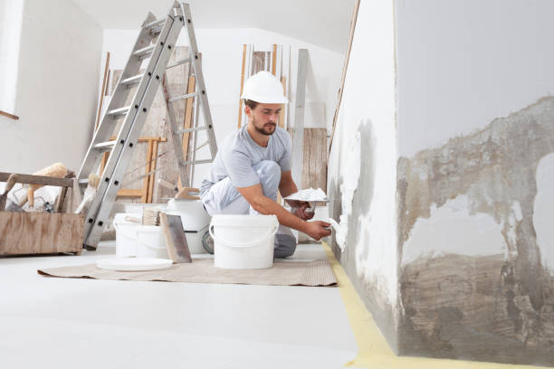 Best Mold Remediation for Vacation Homes  in Waskom, TX