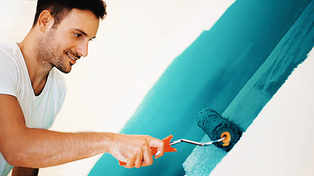 Best Basement Mold Removal  in Waskom, TX